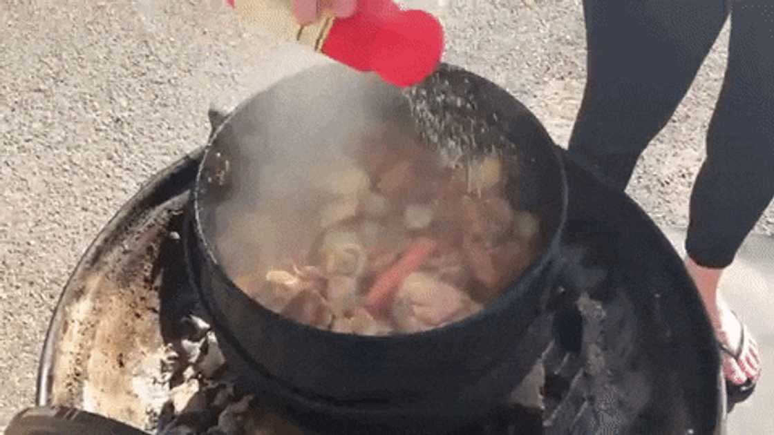 Best Potjiekos recipes chicken Best Potjiekos recipes chicken