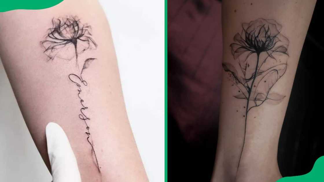 X-ray rose tattoo X-ray rose tattoo