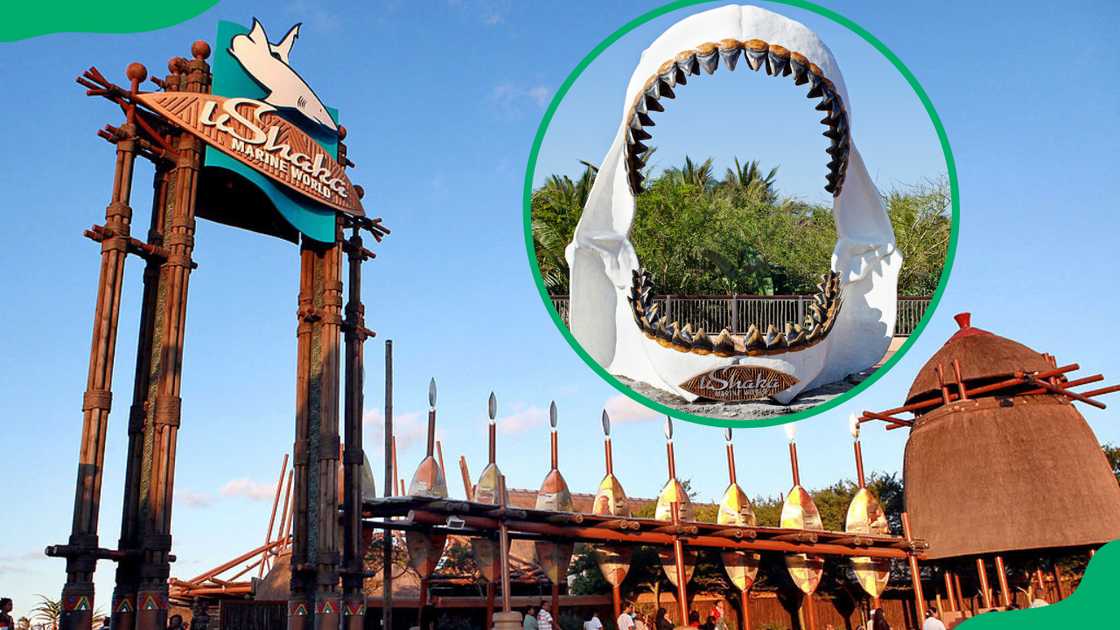 uShaka Marine World prices 2025 uShaka Marine World prices 2025