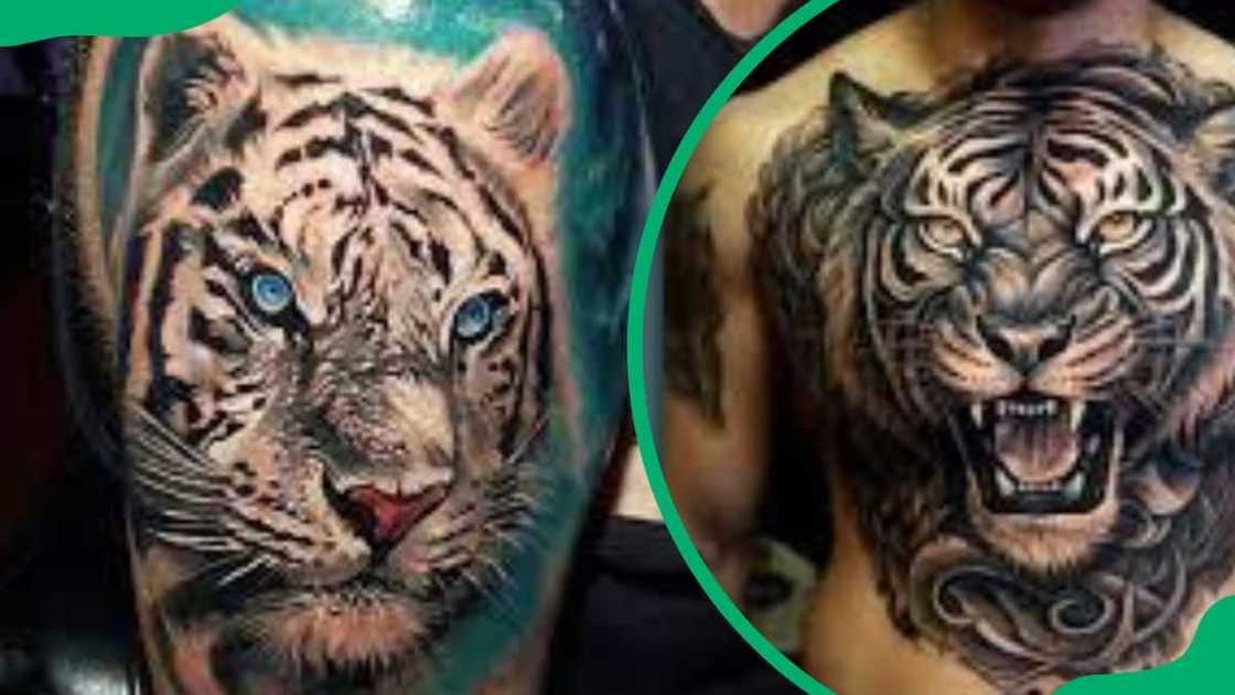 Siberian tiger tattoo design Siberian tiger tattoo design