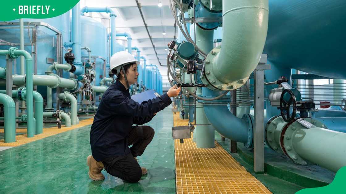 A female chemical engineer at work A female chemical engineer at work