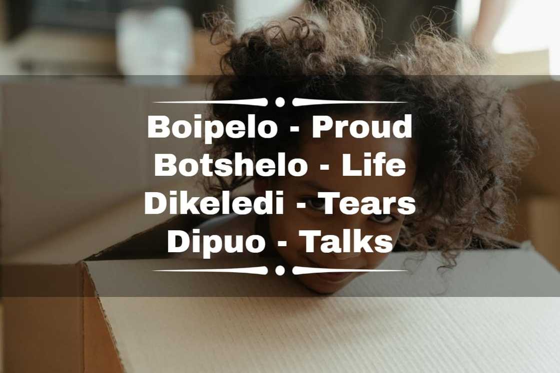 What does the Tswana name Kabo mean? What does the Tswana name Kabo mean?