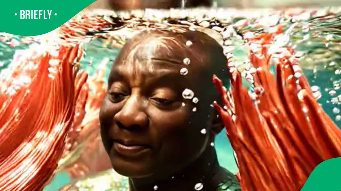 Ramaphosa reimagined by SA Ramaphosa reimagined by SA