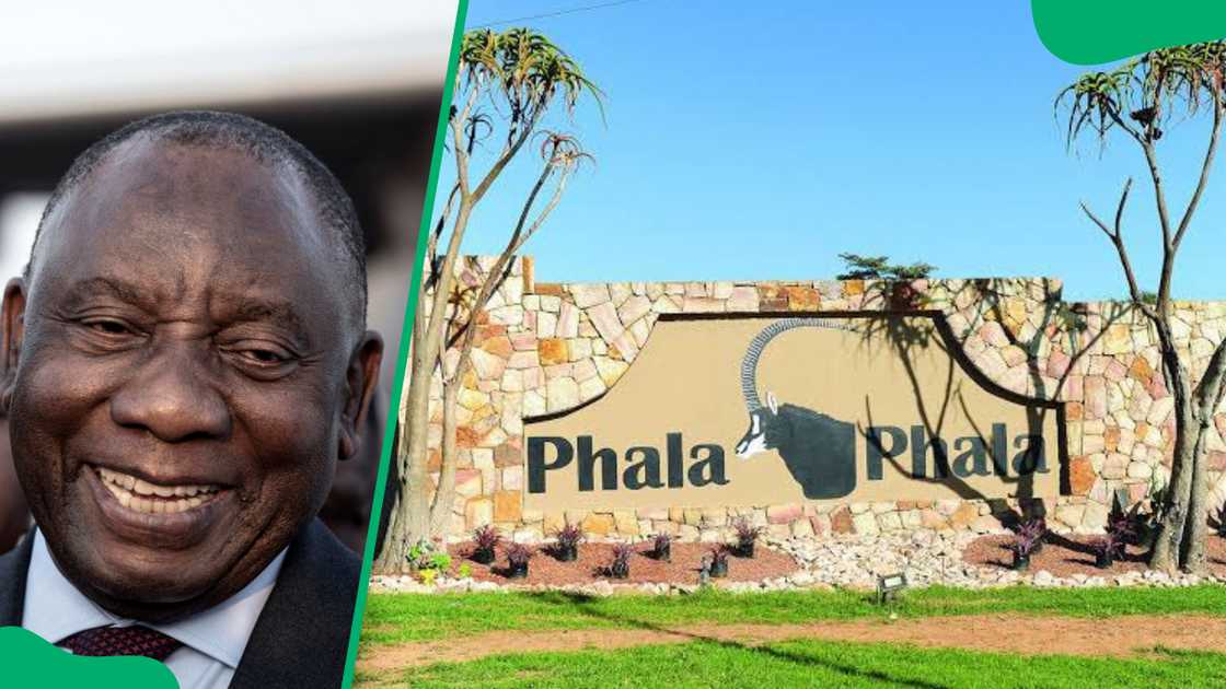 Phala Phala robbery scandal Phala Phala robbery scandal
