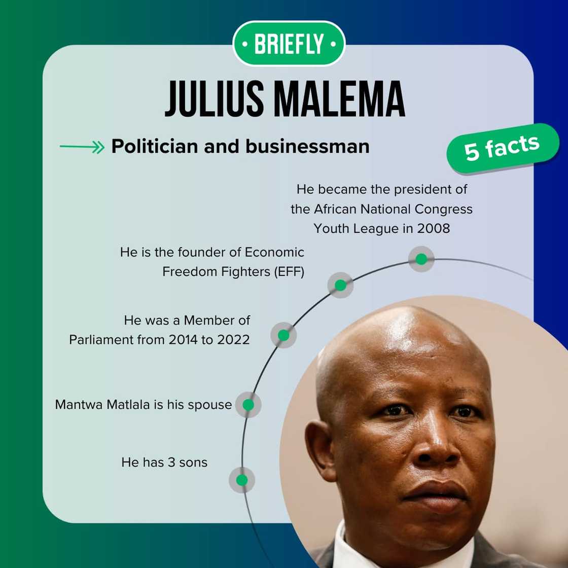 Top-5 facts about Julius Malema Top-5 facts about Julius Malema