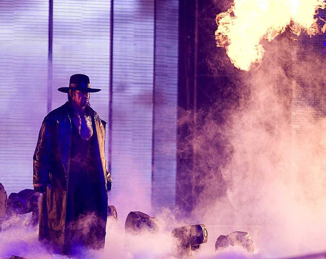 highest-paid wrestler highest-paid wrestler