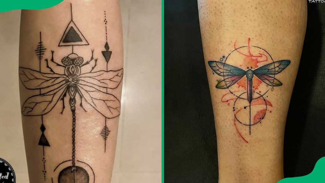Ancient symbols-adorned dragonfly Ancient symbols-adorned dragonfly