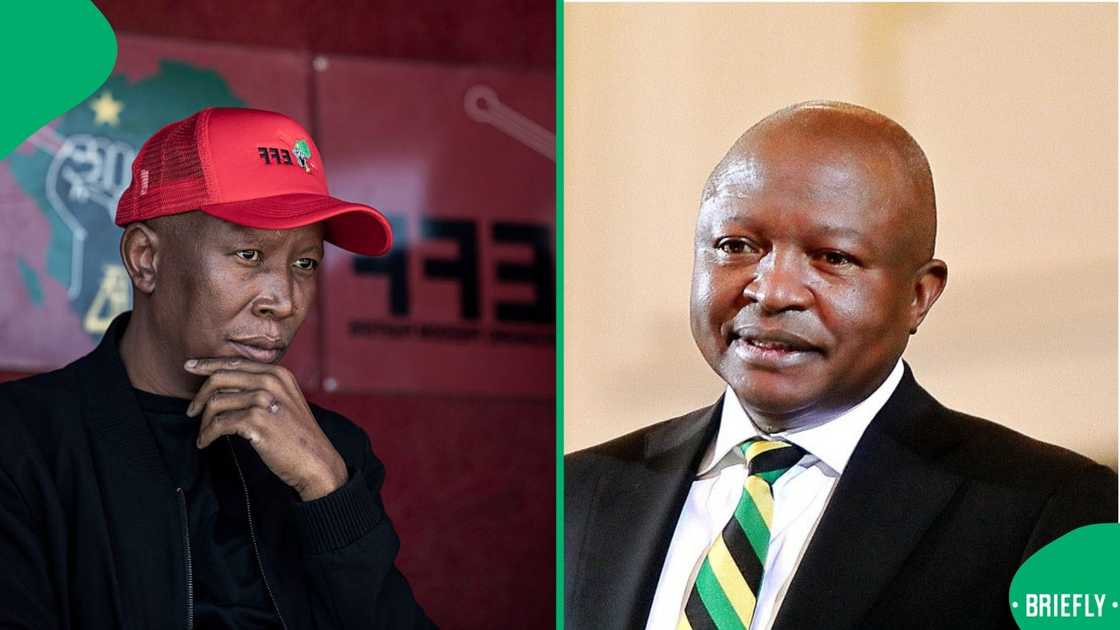 EFF president Julius Malema mourned the loss of David Mabuza EFF president Julius Malema mourned the loss of David Mabuza