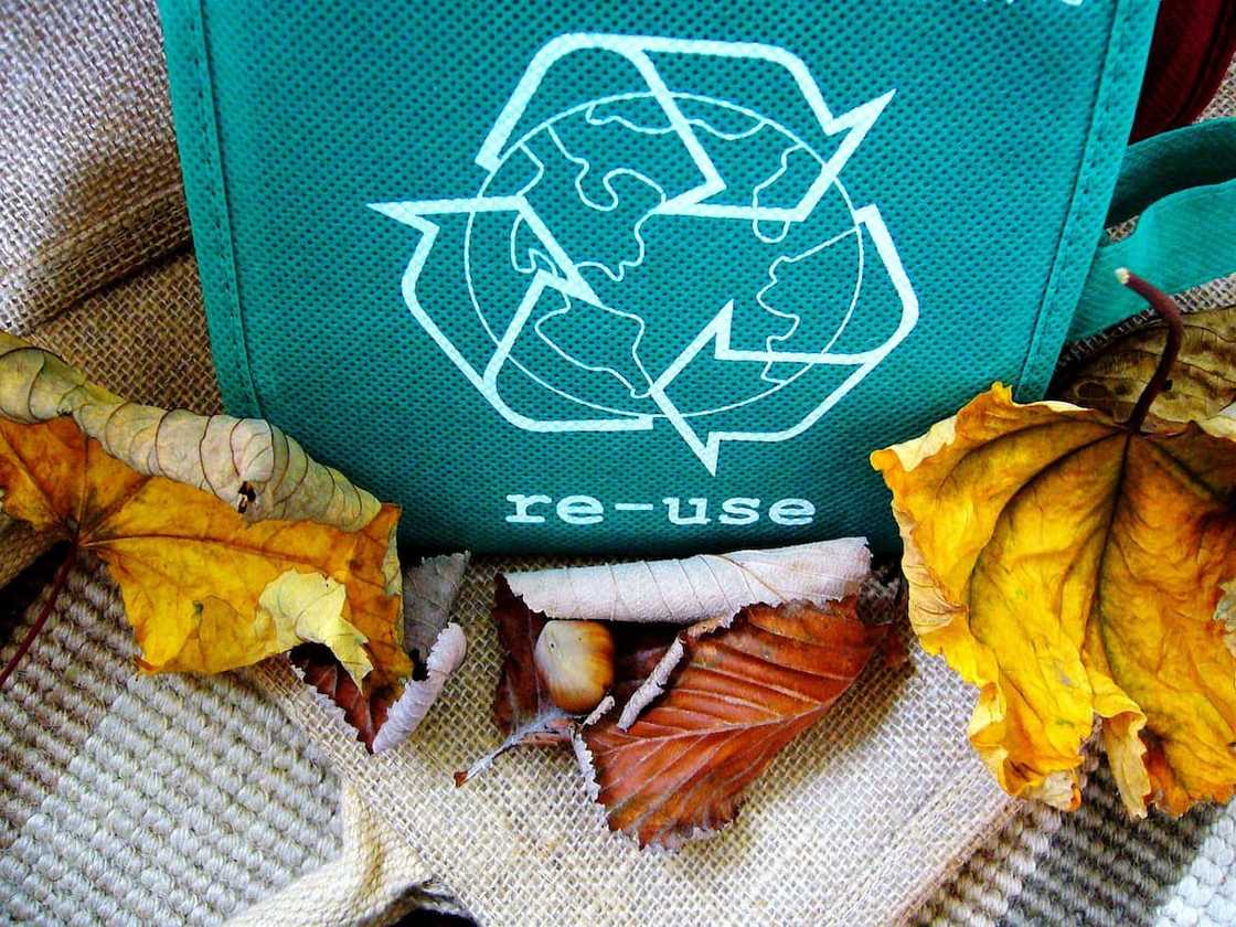 plastic recycling plastic recycling
