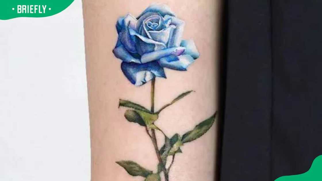 Micro-realism blue rose tattoo Micro-realism blue rose tattoo