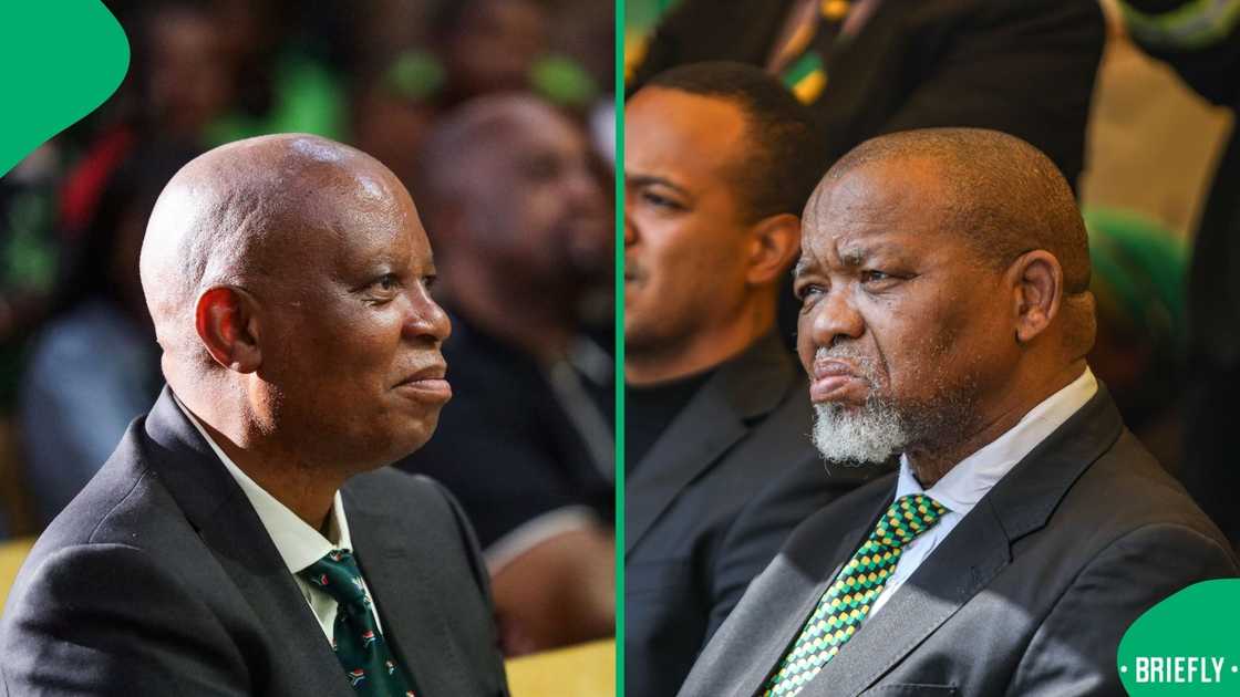 ActionSA has given Gwede Mantashe 60 days to do something about the Lily Mine tragedy ActionSA has given Gwede Mantashe 60 days to do something about the Lily Mine tragedy