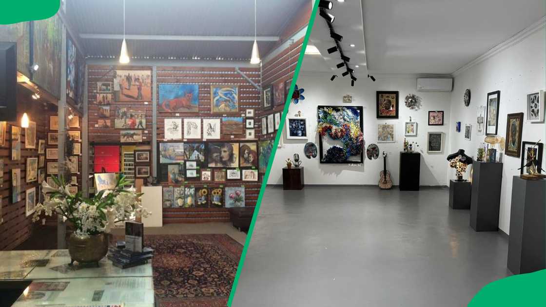Johann van Heerden's Art Gallery Johann van Heerden's Art Gallery