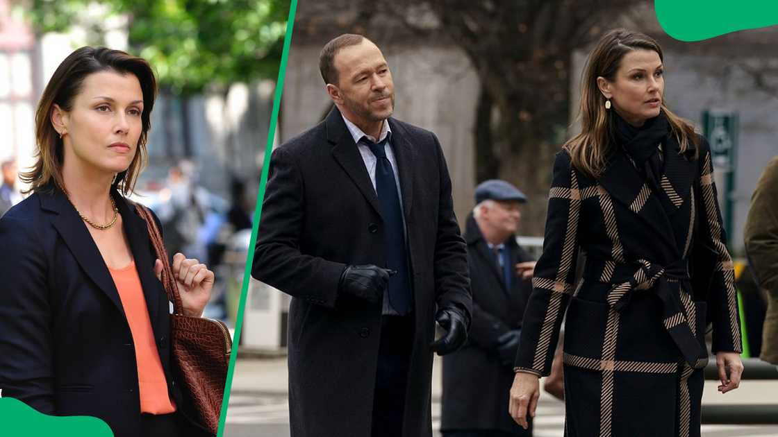 The Reagans on Blue Bloods The Reagans on Blue Bloods