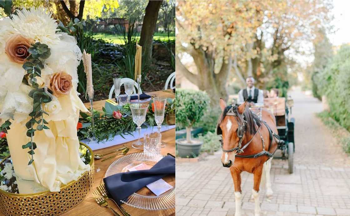 How much does it cost to get married in Johannesburg? How much does it cost to get married in Johannesburg?