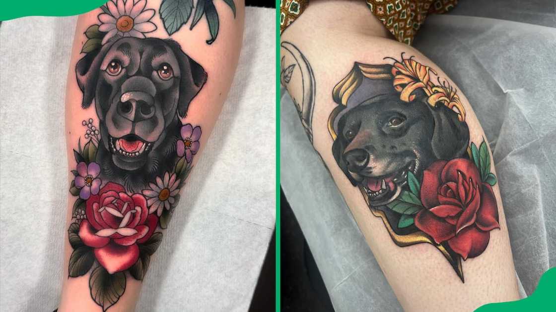 Rose and pet tattoo Rose and pet tattoo