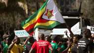 How many languages are spoken in Zimbabwe? Zim's rich linguistic diversity