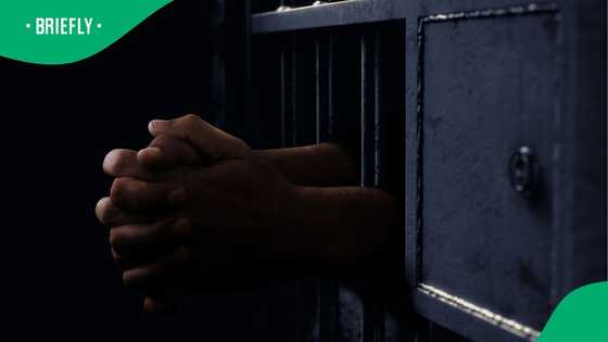 Serial rapist from Mamelodi sentenced to over 400 years in Pretoria